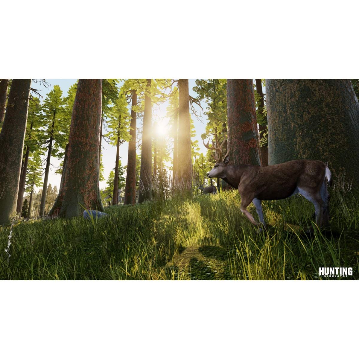 Hunting Simulator PS4 PlayStation 4 - Like New